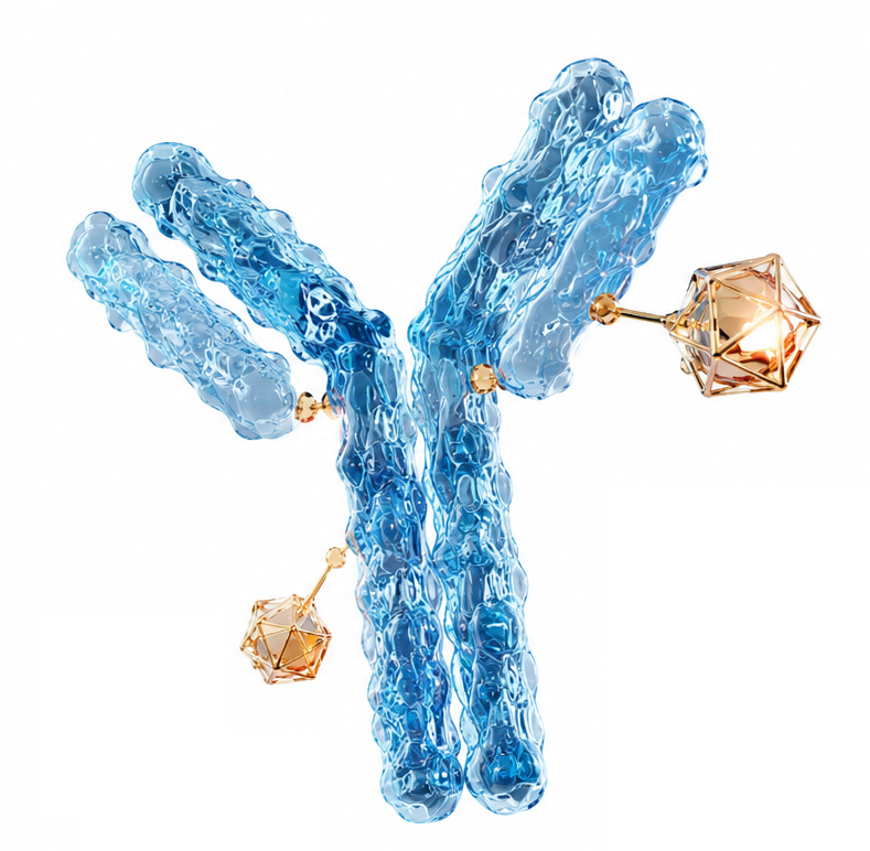 Antibody–drug conjugate